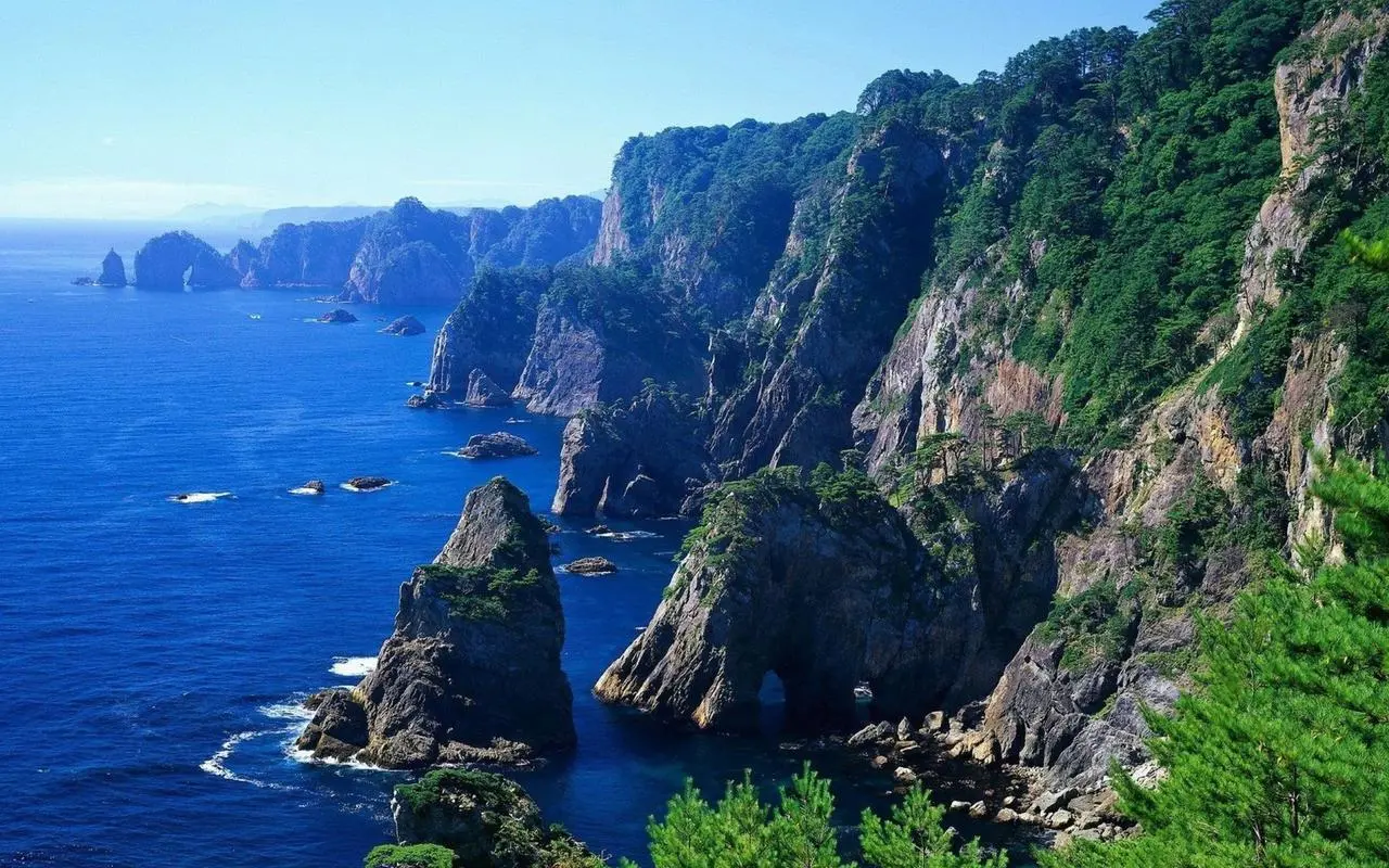 全自动科技高效